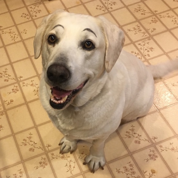 Meet your Posher, Jennifer - Picture 1 of 1